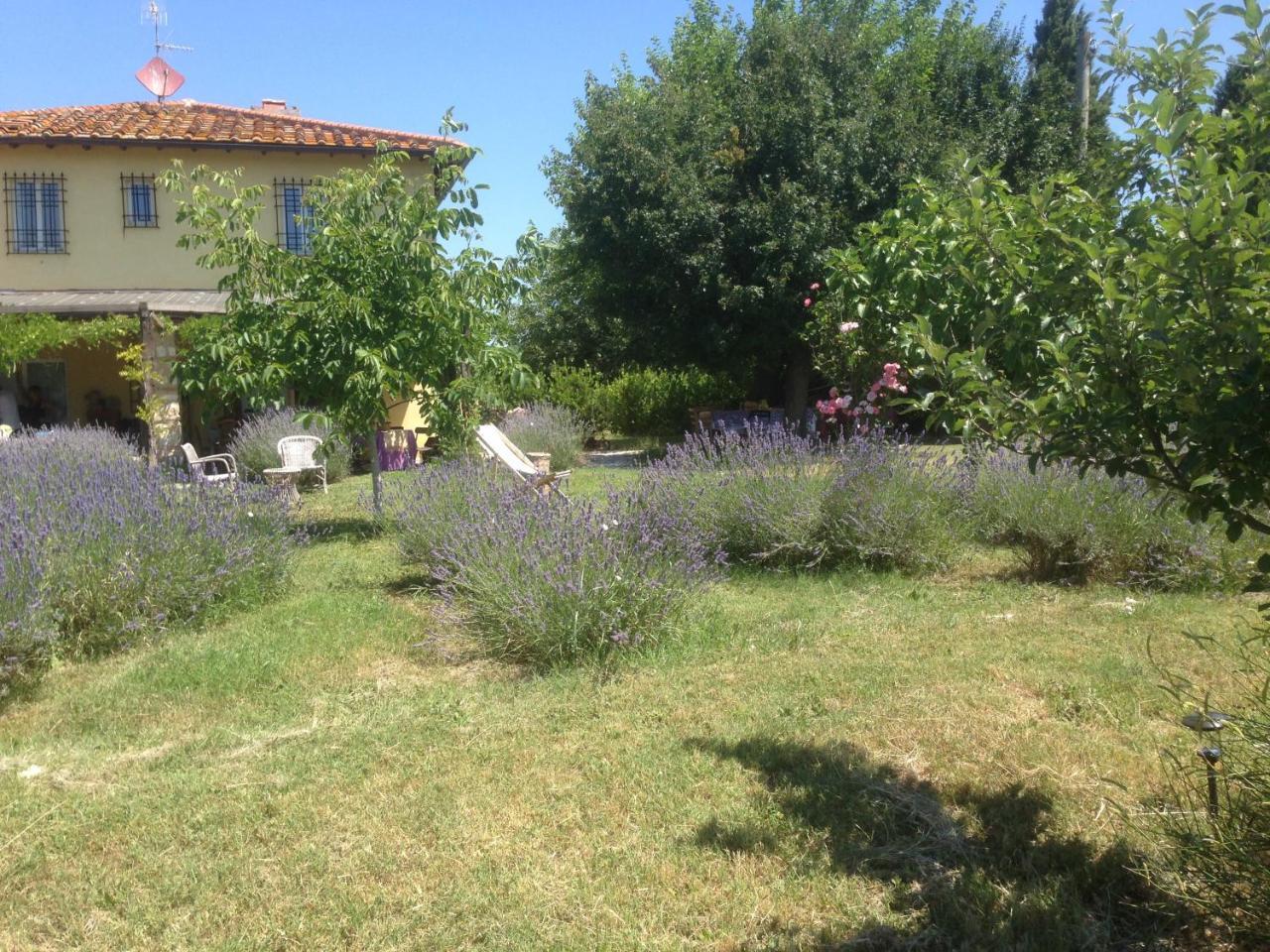 Agriturismo Papageno Rignano sullʼArno Extérieur photo